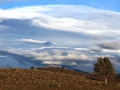 45 doc. Mt. Shasta, 12-8-2014 270